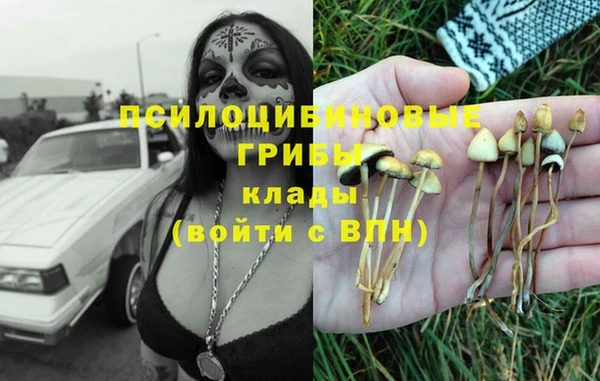гидра Новокубанск