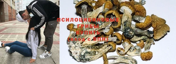 СК Абдулино