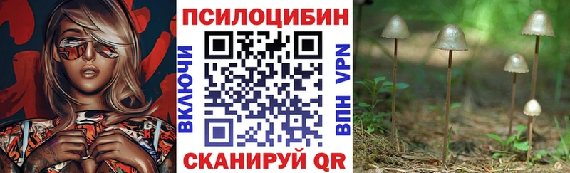 Псилоцибиновые грибы Psilocybe  mega сайт  Архангельск 