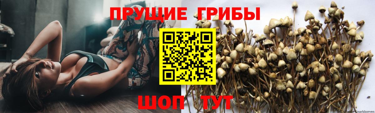 Архангельск  Псилоцибиновые грибы MAGIC MUSHROOMS  закладки  Вход с VPN 